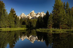 Grand Tetons reflect in the water at Schwabacher Landing, Jackson Wyoming