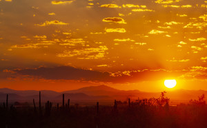 Sunrise Over The Arizona Desert