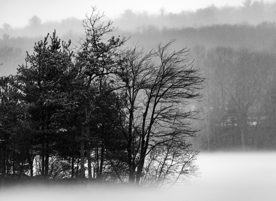 Morning Fog at Stump Pond